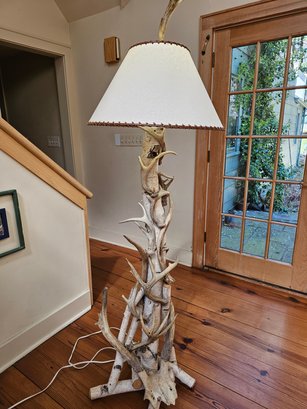 Amazing Birch And Antler Lamp