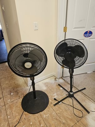 Pair Of Upright Fans