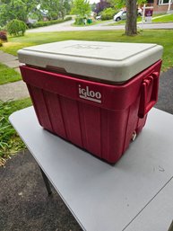 Igloo Cooler