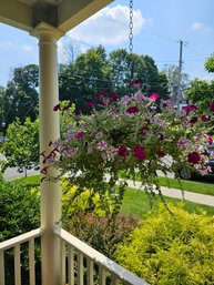 Pair Of Hanging Flower Baskets