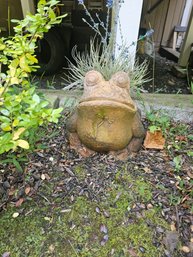 Terra Cotta Froh Planter