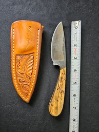 Beautiful Fixed Blade Knife Olive Wood Handle