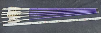 Lot Of 6 Easton Jazz Arrows