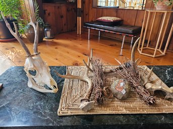 Assemblage Of Antlers And Animal Skull