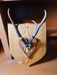 Antlers On Wood Plaque