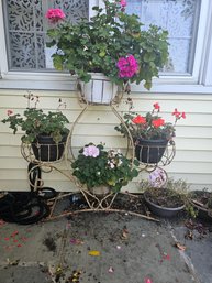 Wrought Iron Planter