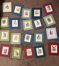 Matted Book Pages Anamorphic Birds And Animals (Qty 20)