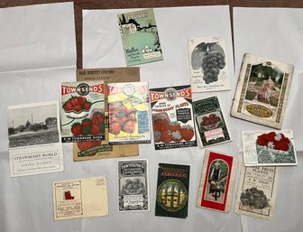 Seed / Plant Catalogs 1920-1940s Era (Qty 13)