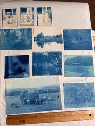 Cyanotype Photographs Includes Cat (qty 11)