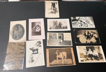 Real Photo Postcards (RPPC) Dogs/cats (Qty 11)