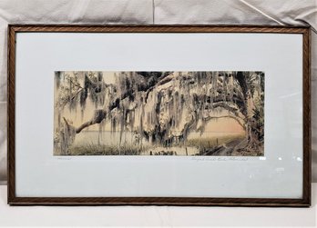 Framed & Matted William James Harris (1868-1940) Royal Arch Oak, Florida Hand Tinted Photo Signed