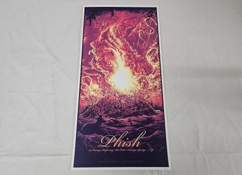 2014 Official Limited Edition Phish 07/04/14 Saratoga Springs, NY N2 Concert Poster Print Dan Mumford