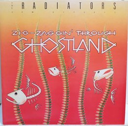 1989 PROMO RELEASE THE RADIATORS ZIG-ZAGGIN' THROUGH GHOSTLAND VINYL RECORD E 44343 EPIC RECORDS
