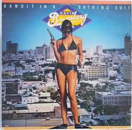 1978 RELEASE DAVID BROMBERG BAND-BANDIT IN A BATHING SUIT VINYL RECORD F 9555 FANTASY RECORDS.
