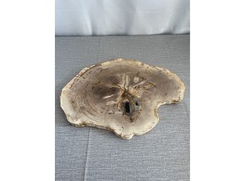 Petrified Wood Decorative Tray