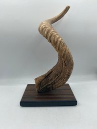 Ram's Horn On Pedestal