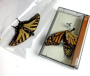 Vintage 2 Real Butterflies   (JA12)