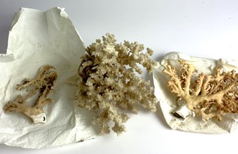 Coral Pieces   G