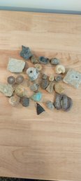 Lot Of Assorted Fossil Findings (P-219)