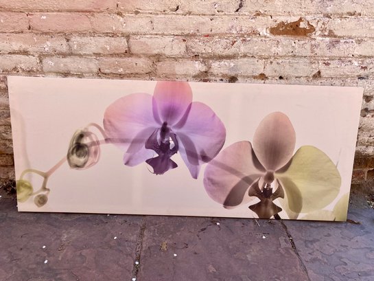 Large Flower Print On Canvas