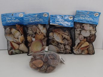 Craft Rocks And Woolworth's Sea Shells