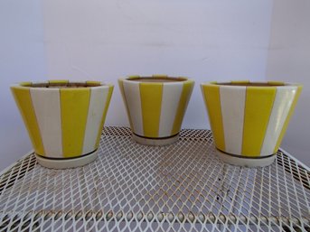 Three Matching Planters