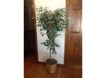 67' Artificial Ficus Tree