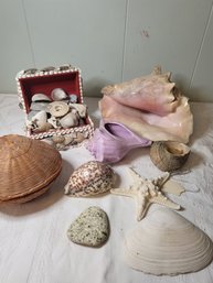 She Sells Sea Shells