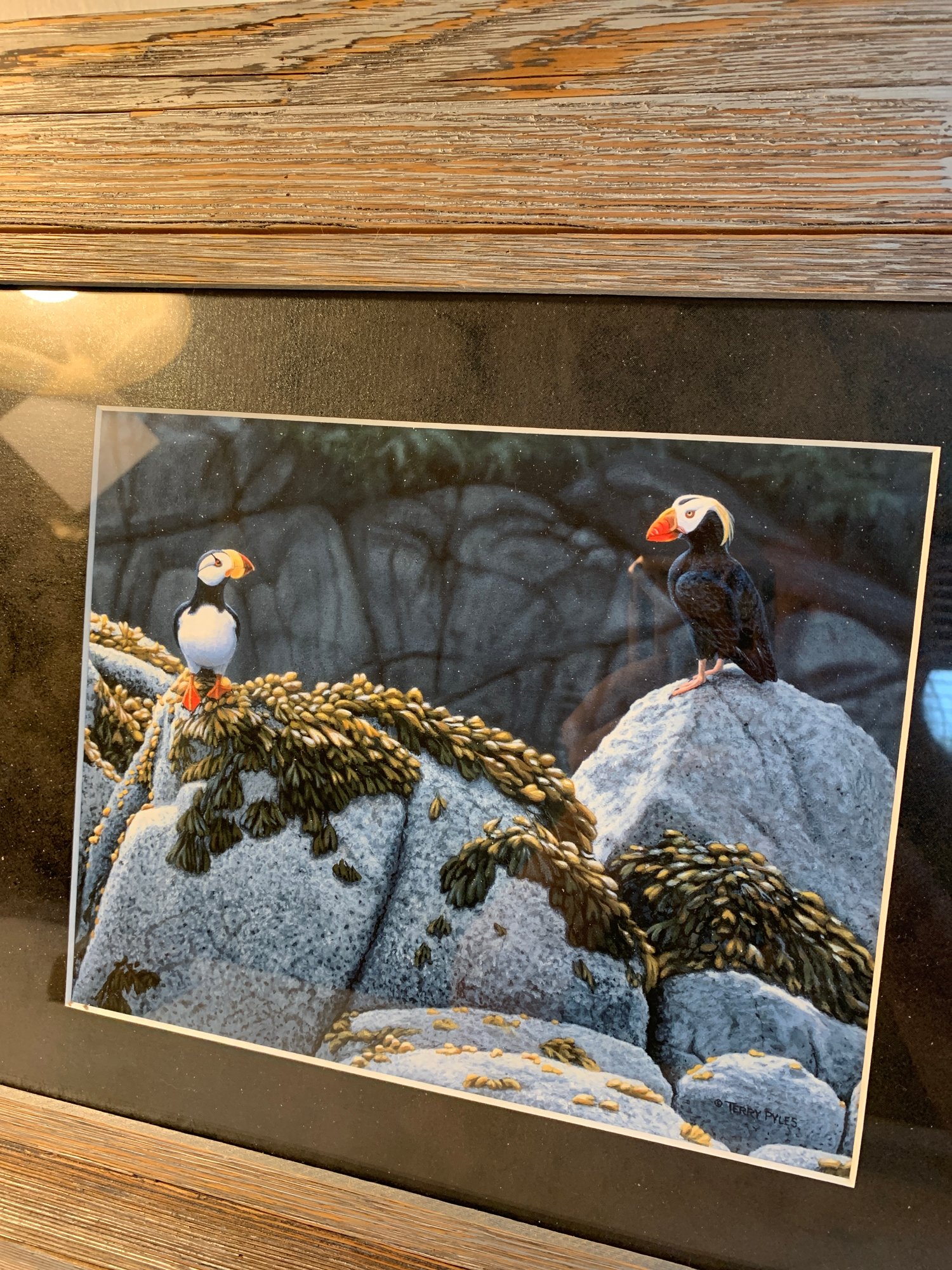 Terry Pyles Print 5583