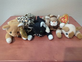 5 Ty Beanie Baby Kittens - Nip, Snip, Zip, Freckles, Pounce