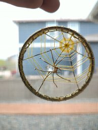 3-In Diameter Hanging Golden Spider Web With Crystal Spider
