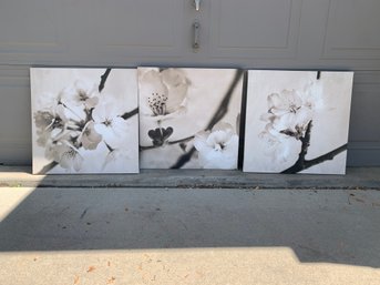 Set Of 3 Floral Canvas Prints