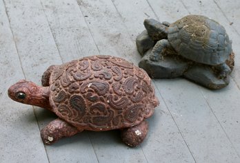 Garden Turtles