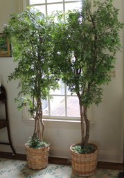 Pair Faux Trees