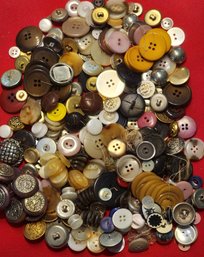 Incredible Button Collection