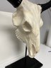 Decorative Art Resin Cow Steer Skull & Horns On A Black Stand