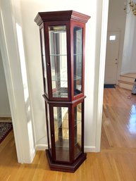 L/ Wood And Glass Slim Profile Lighted Curio Cabinet