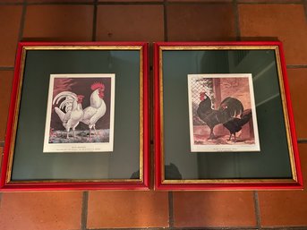 K/ Pair Of Red Framed Prints Roosters Cassell's Poultry Book - 'White Leghorns' & Black Hamburghs'