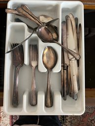 DR/ Plastic Flatware Organizer W 43 Pcs Partial Set Of Vintage Wm Rogers & Son AA Flatware