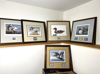 L1/ 5pcs - Framed Waterfowl Duck Prints And Stamps: Piscatori, Anderson, Reece, Maass Etc