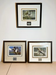 L2/ 3pcs - Framed Duck Prints And Stamps, Numbered And Signed: Maass And Bateman