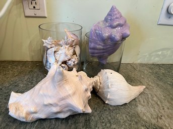 K/ 2 Round Glass Vases & Assorted Sizes & Types Of Pretty Seashells