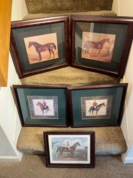 DR/ 5pcs - Framed Equestrian Horse Prints