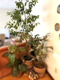 DR/ 4pcs - Basket Planters With Assorted Faux Plants