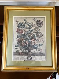 DR/ Framed Floral Print From Collection Of Rob Furber, Gardiner At Kenzington 1730'