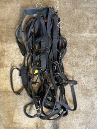 3FL/ Several Horse Harnesses