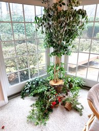 SR/ Artificial Plants, Flowers, Ficus, 2 Hanging, Ivy