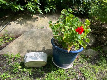 FY/ 2pcs - Large Potted Geranium And Pretty Ceramic Oval Planter