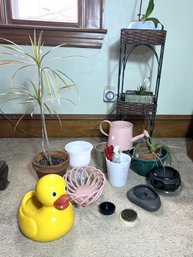 LR/ 16pcs - Assorted Plants, Planting Pots: Ceramic Terracotta Metal, Plant Stand
