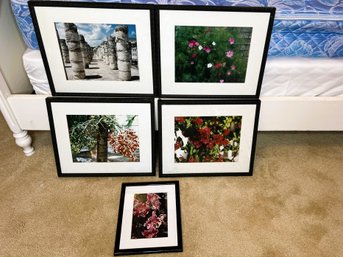 2BB/ 5pcs - Assorted Floral Pictures In Black Frames